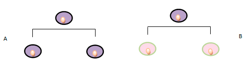 Divisione simmetrica