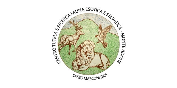 La storia del lupo Navarre
