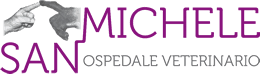 Ospedale Veterinario San Michele