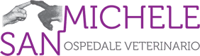 Ospedale Veterinario San Michele