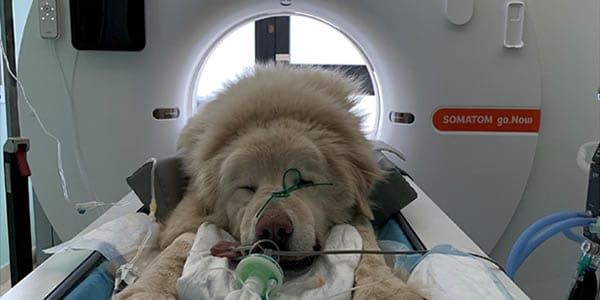 Tomografia Computerizzata