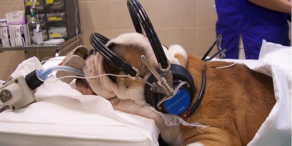 Elettrodiagnostica (EMG e BAER)